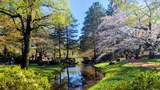 国営昭和記念公園