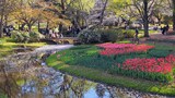 国営昭和記念公園