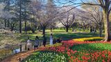 国営昭和記念公園
