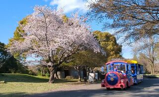 PHOTO 国営昭和記念公園#7