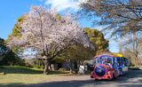 国営昭和記念公園