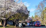 国営昭和記念公園