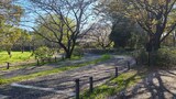 国営昭和記念公園