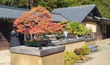 国営昭和記念公園