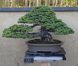 国営昭和記念公園