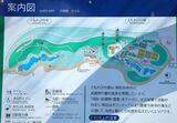 国営昭和記念公園