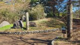 国営昭和記念公園