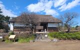 国営昭和記念公園