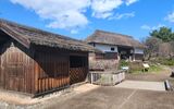 国営昭和記念公園