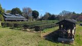 国営昭和記念公園