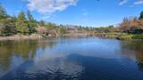 国営昭和記念公園