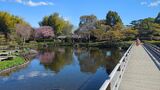 国営昭和記念公園