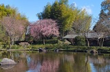国営昭和記念公園
