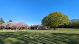 国営昭和記念公園