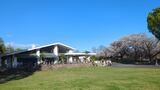 国営昭和記念公園