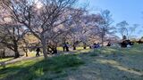 国営昭和記念公園