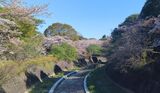 国営昭和記念公園