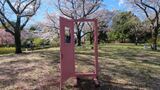 国営昭和記念公園