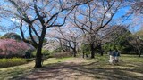 国営昭和記念公園