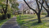 国営昭和記念公園
