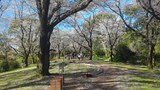 国営昭和記念公園
