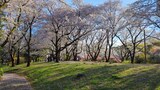 国営昭和記念公園
