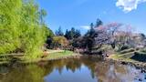 国営昭和記念公園