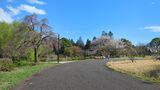国営昭和記念公園