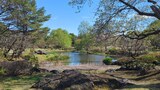 国営昭和記念公園