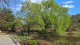 国営昭和記念公園