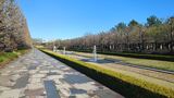 国営昭和記念公園