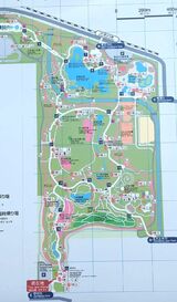 国営昭和記念公園