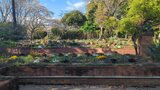 国営昭和記念公園