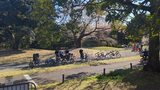 国営昭和記念公園
