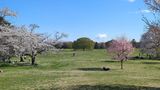 国営昭和記念公園