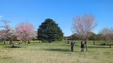 国営昭和記念公園