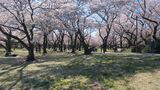 国営昭和記念公園