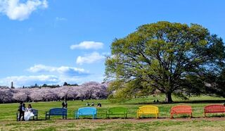 PHOTO 国営昭和記念公園#8