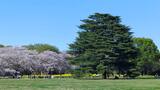 国営昭和記念公園