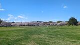 国営昭和記念公園
