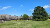 国営昭和記念公園