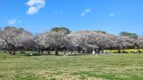 国営昭和記念公園
