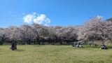 国営昭和記念公園