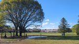 国営昭和記念公園
