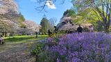 国営昭和記念公園