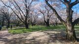 国営昭和記念公園