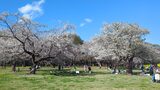 国営昭和記念公園