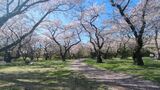 国営昭和記念公園