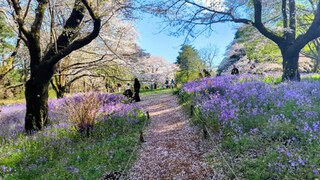 PHOTO 国営昭和記念公園#4