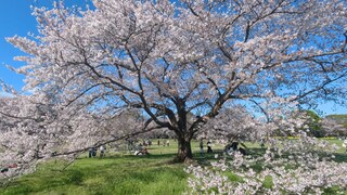 PHOTO 国営昭和記念公園#3
